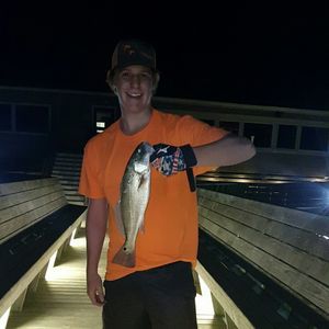 Meet your Posher, Cameron